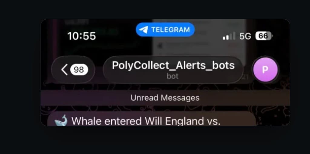 PolyCollect Telegram bot alert showing a whale entry notification